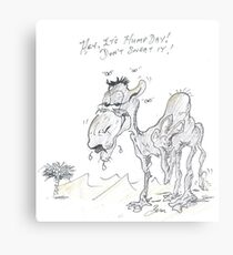 Hump Day Metal Print