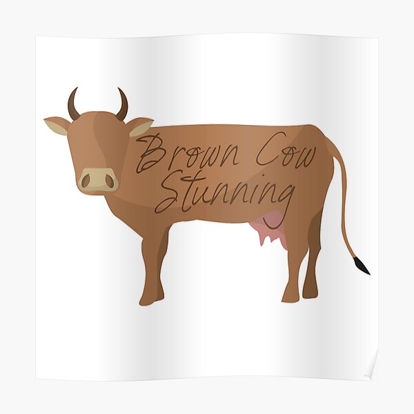 "Brown Cow Stunning" Poster for Sale by mav4 Redbubble