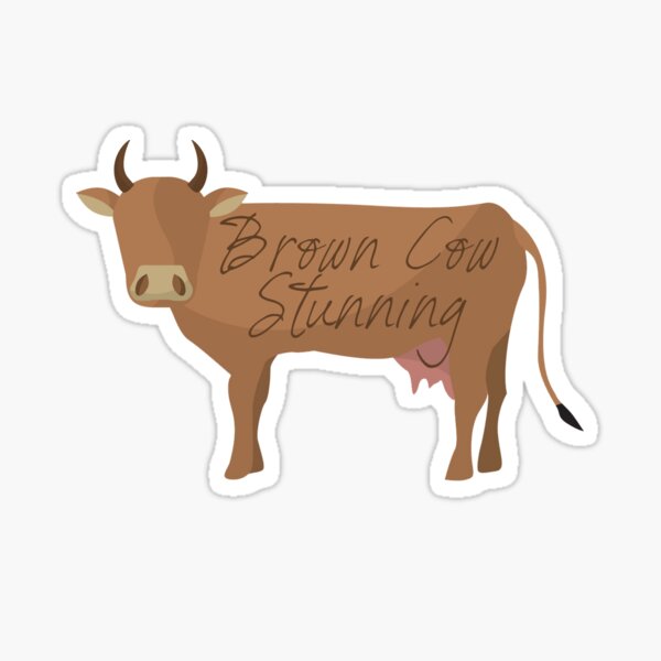 Brown Cow Stunning Sticker