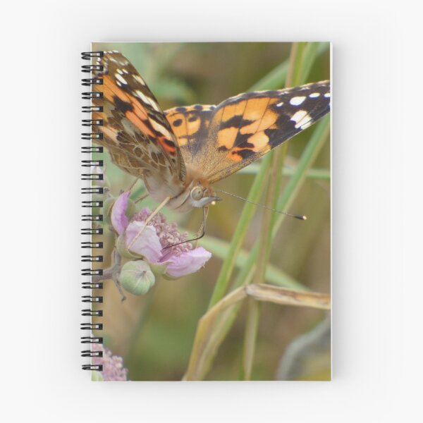 Item preview, Painted Lady Butterfly designed and sold by Louisamhocking.