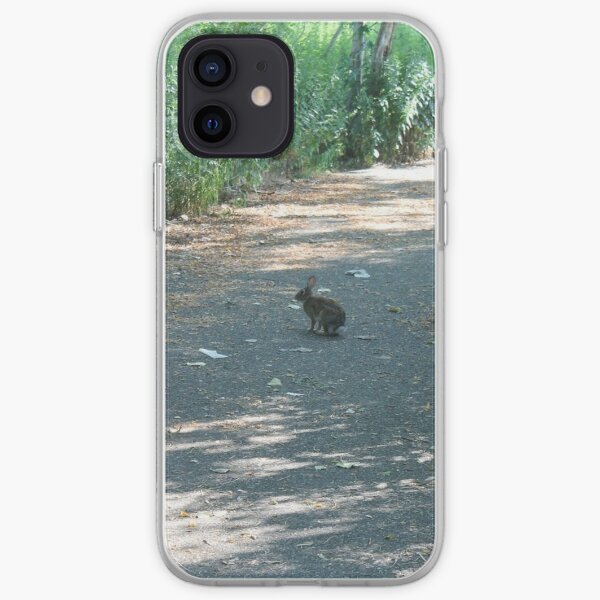 #nature #leaf #outdoors #wood #landscape #tree #water #summer #environment #grass #garden #road #travel #horizontal #nopeople #naturalpa iPhone Soft Case