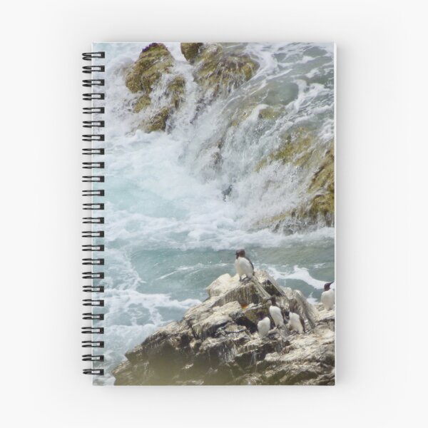 Item preview, Razorbills and Guillemots  designed and sold by Louisamhocking.
