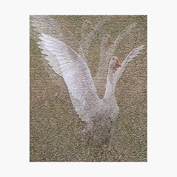 Free as the wind Photographic Print