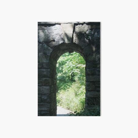 #Arch #tree #old #ancient #architecture #outdoors #wood #brick #vertical #archarchitecturalfeature #oldruin #ruined #nopeople #stonematerial #wallbuildingfeature #builtstructure #buildingexterior #day Art Board Print