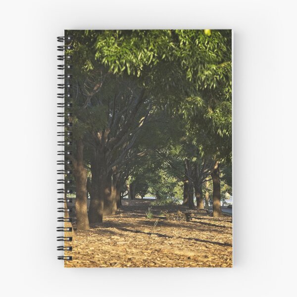 Item preview, Lake Burley Griffin around sunrise (1) designed and sold by Wolf Sverak Photography.