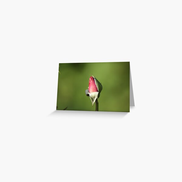 Yet to Bloom Greeting Card