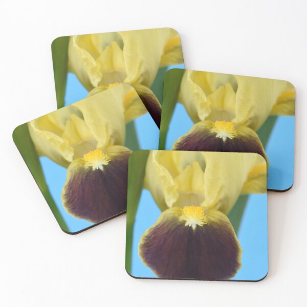 Item preview, Bearded iris designed and sold by Chris Burrows.