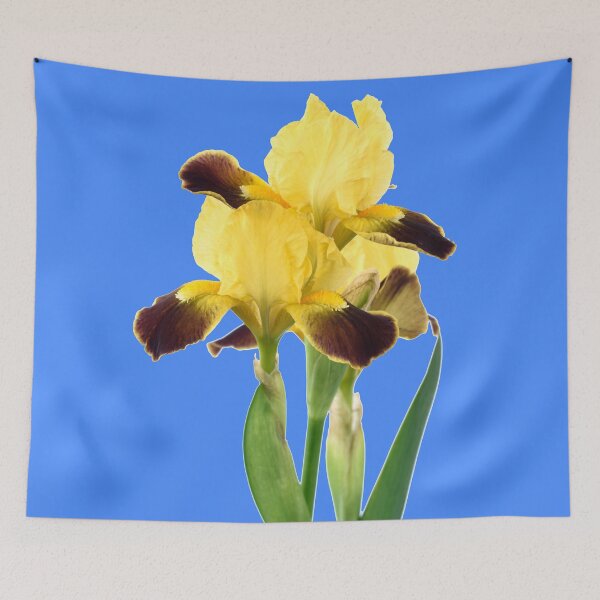 Item preview, Bearded iris designed and sold by Chris Burrows.