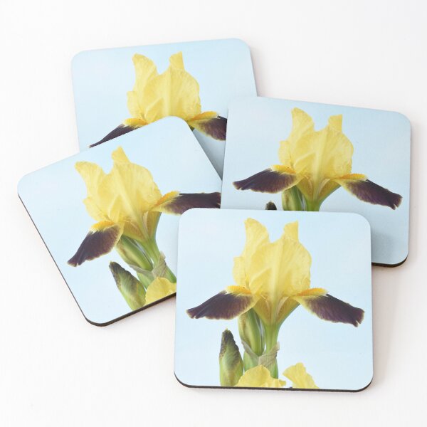 Item preview, Bearded iris designed and sold by Chris Burrows.