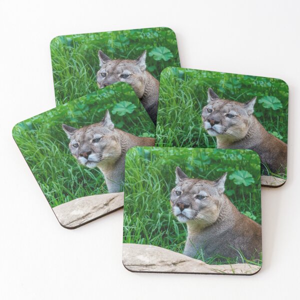 Item preview, A Puma designed and sold by iCimages.net.