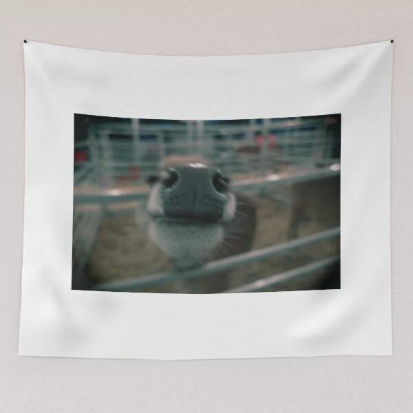 Item preview,  Animal Nose designed and sold by mkcaccamo.