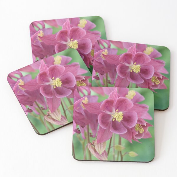 Item preview, Aquilegia  Columbine designed and sold by Chris Burrows.