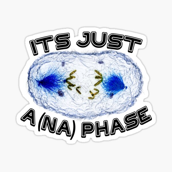 It's Just A (na) Phase Sticker