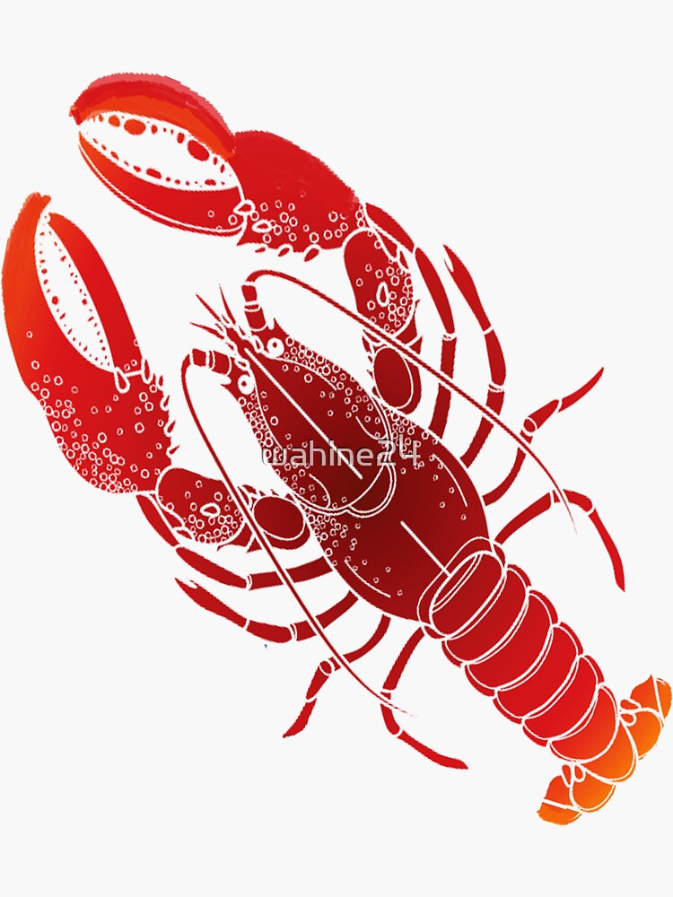 "Straight From Maine" Sticker by wahine24 Redbubble