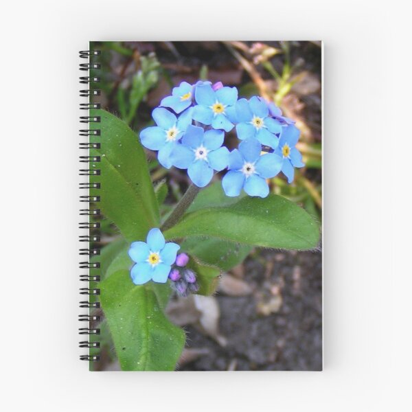 Item preview, Myosotis designed and sold by patjila.