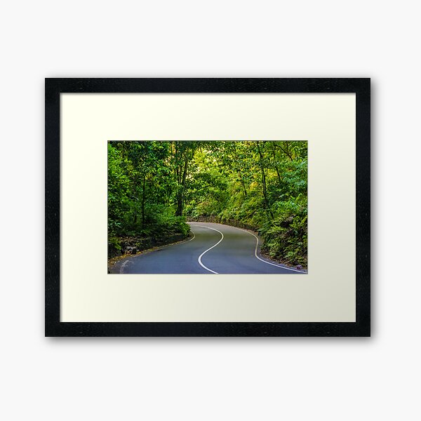Item preview, Fern Gully in Ocho Rios Jamaica designed and sold by debbieannpowell.