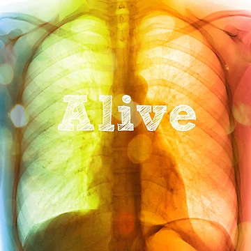 Artwork thumbnail, Bone by IschemicNeuron