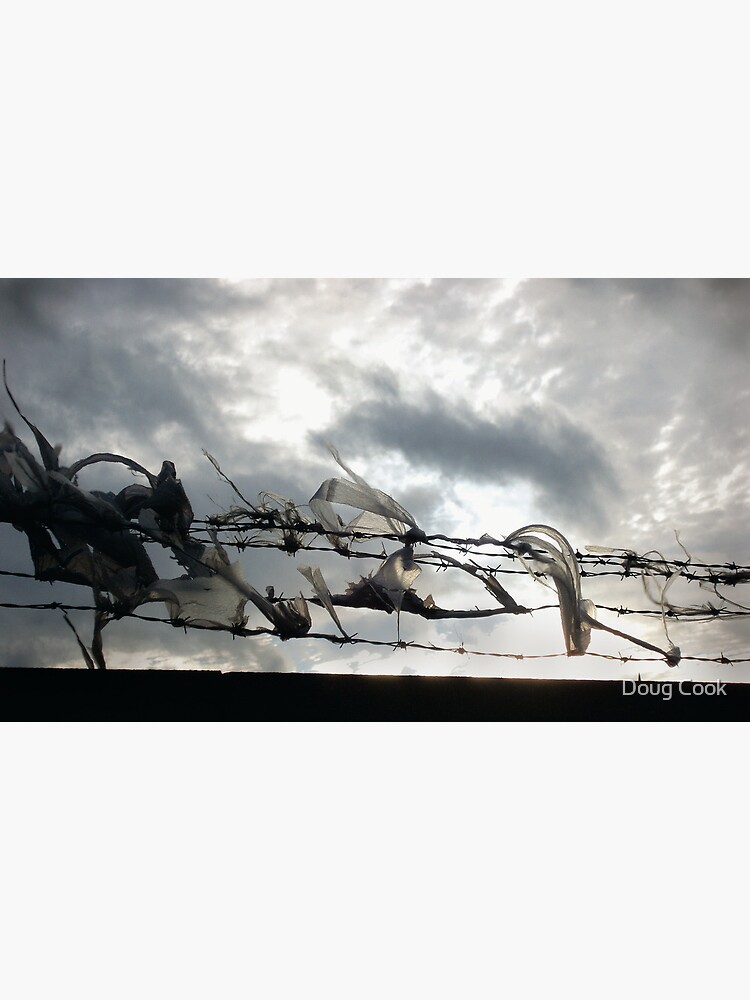 On the wire by DougCook