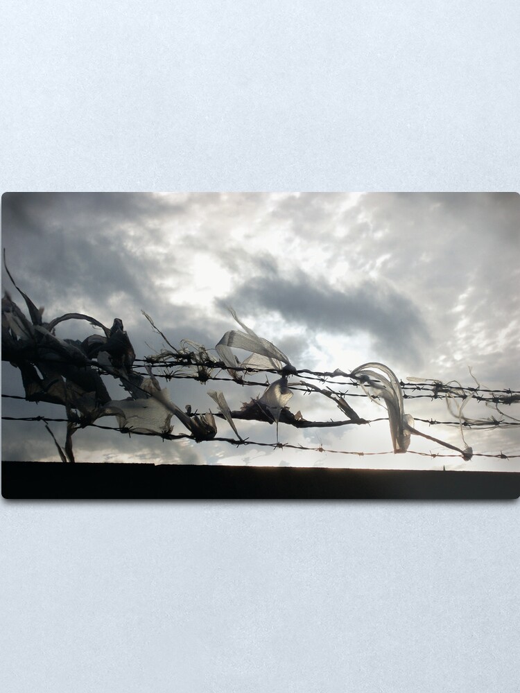 Alternate view of On the wire Metal Print