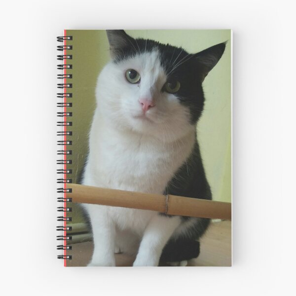 Item preview, Cat, hangover, nature designed and sold by Sternchen2789.