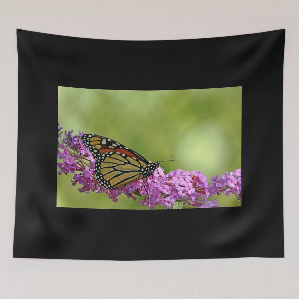 Item preview, Monarch And Buddleia designed and sold by Deb Oppermann.