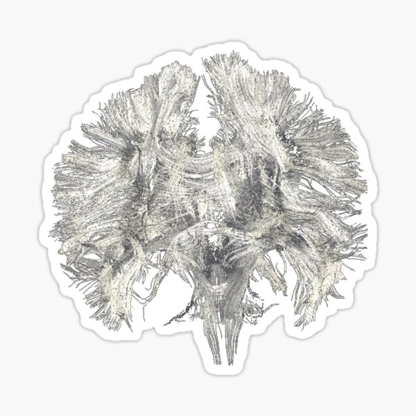 Grey Brain Sticker