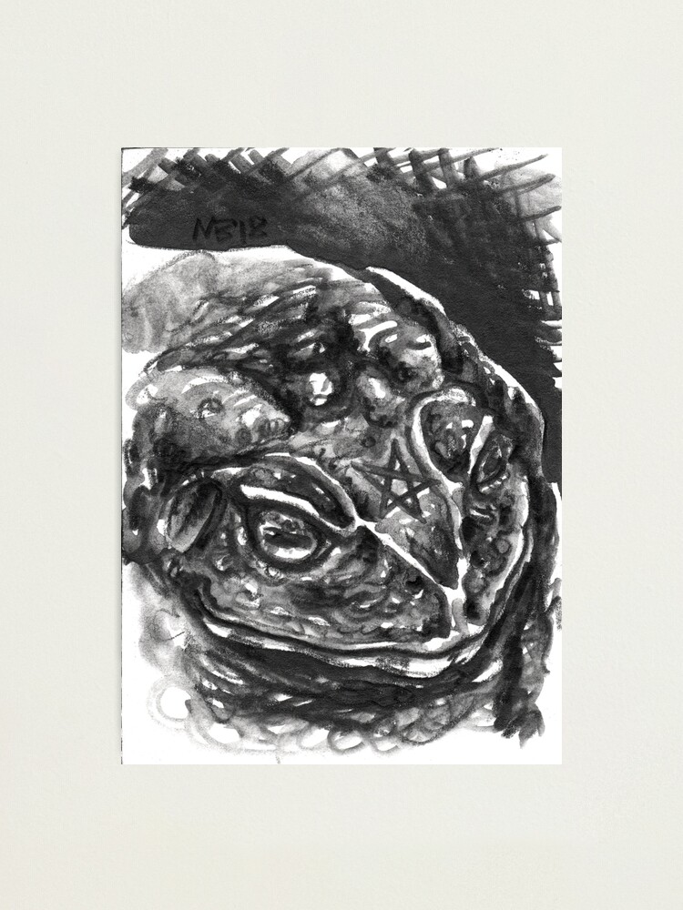 Alternate view of Familiars - Toad Photographic Print