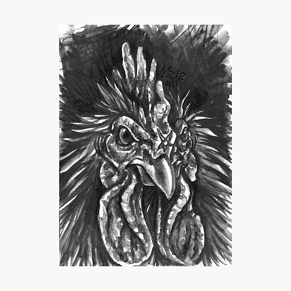 Familiars - Cock Photographic Print