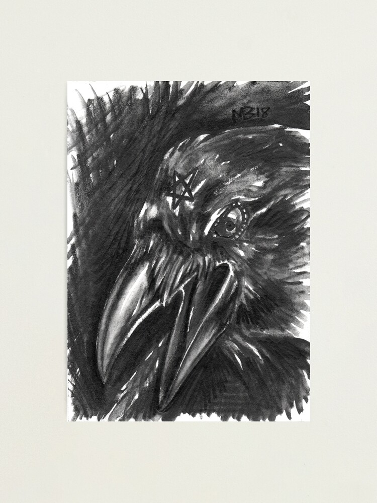 Alternate view of Familiars - Rook Photographic Print