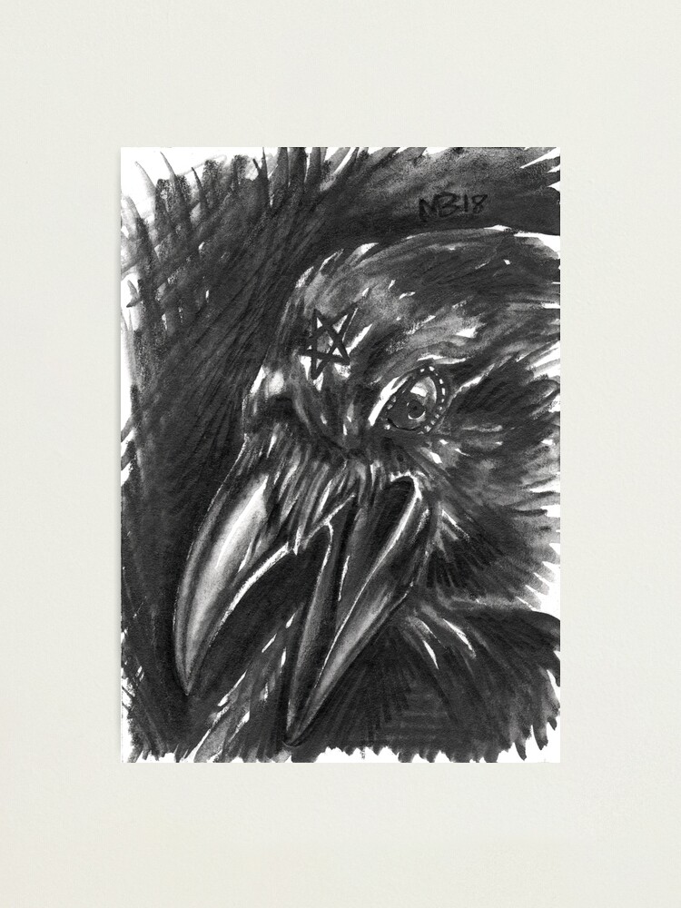 Alternate view of Familiars - Rook Photographic Print