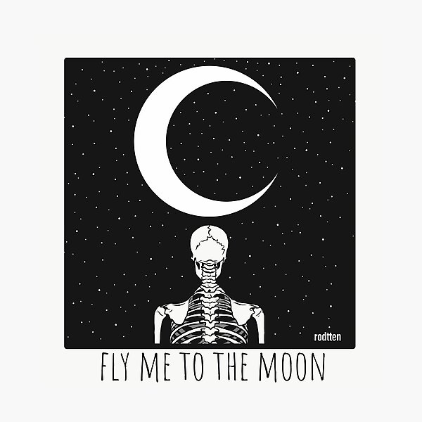 Fly Me To Wall Art Redbubble - fly me to the moon lofi roblox id