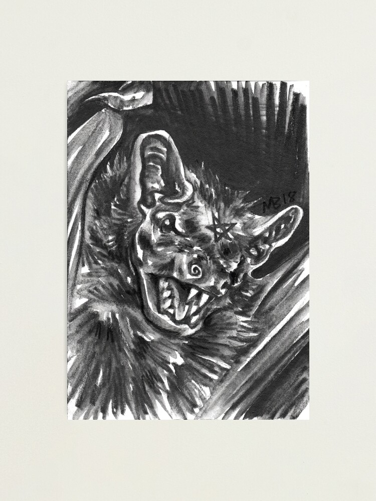 Alternate view of Familiars - Bat Photographic Print