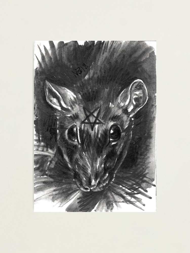 Alternate view of Familiars - Rat Photographic Print
