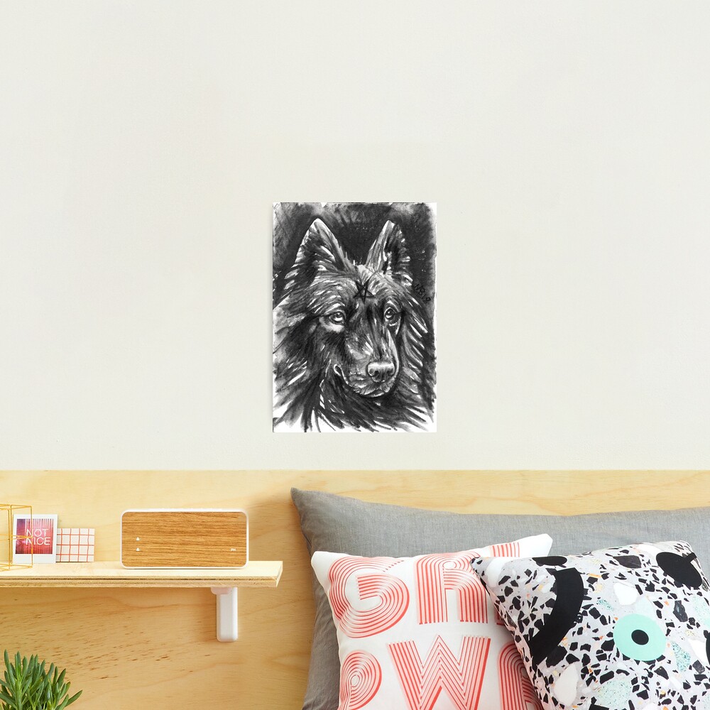 Familiars - Dog Photographic Print