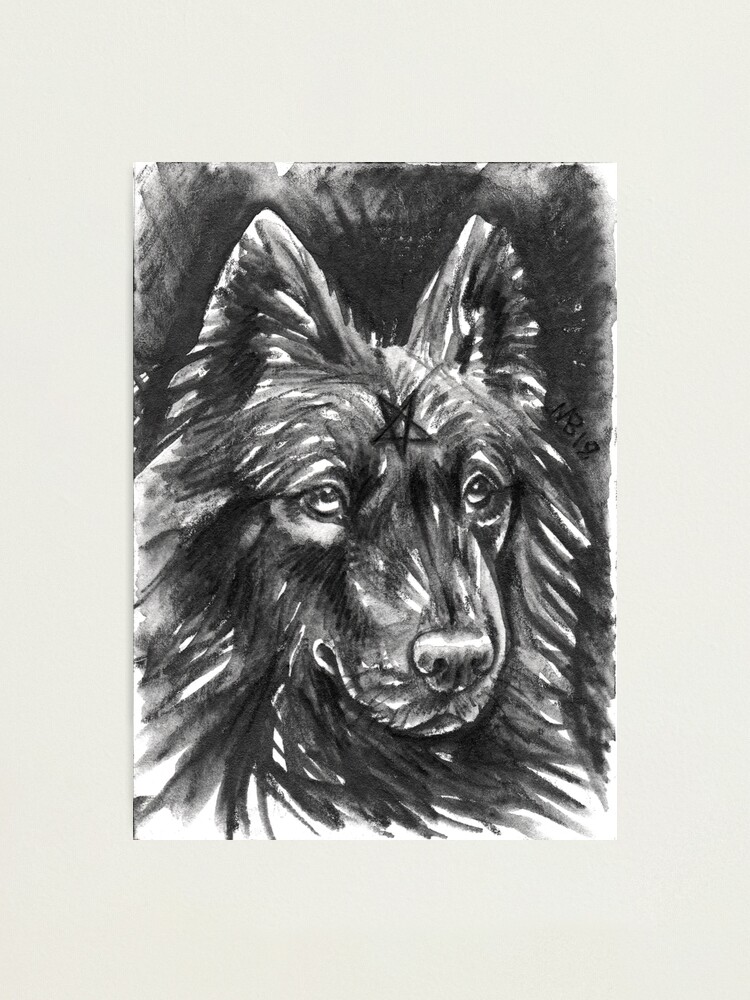 Alternate view of Familiars - Dog Photographic Print
