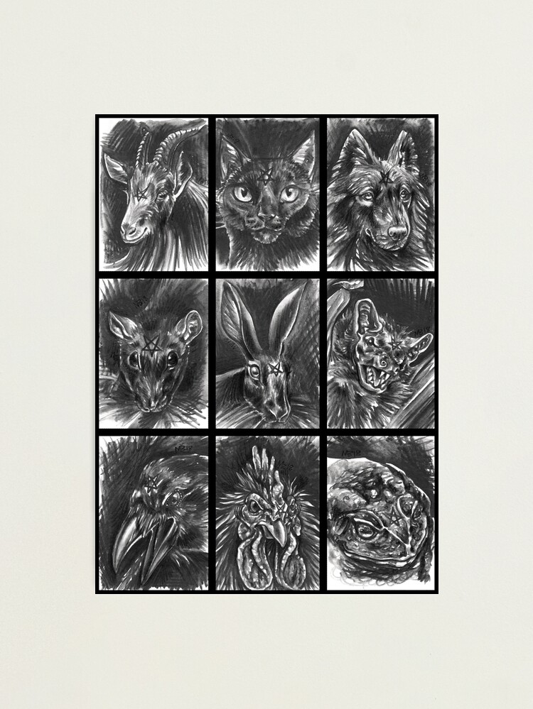 Alternate view of Familiars - Managerie Photographic Print