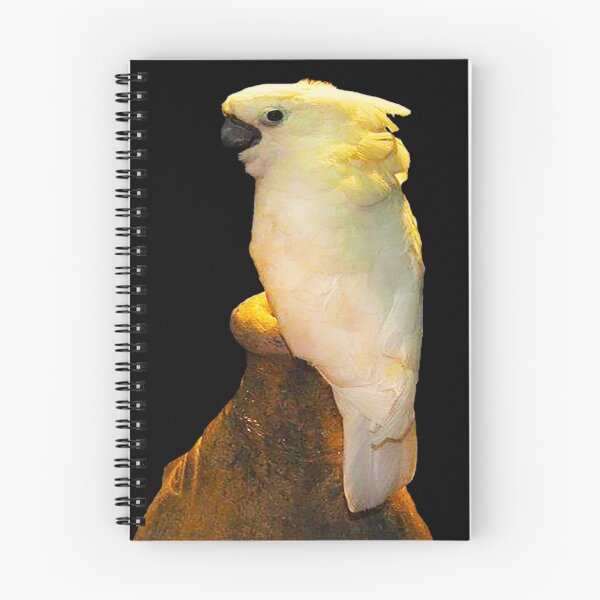 Item preview, White cockatoo bird posing on a water pitcher designed and sold by MNA-Art.