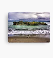 Bird Island Canvas Print