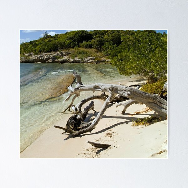 Item preview, Drift Wood in Antigua designed and sold by Memaa.