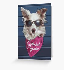 Cinni the Border Collie Greeting Card