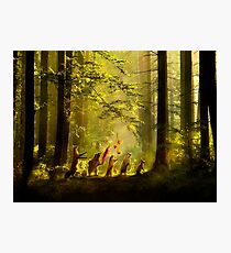 The Secret Parade II Photographic Print