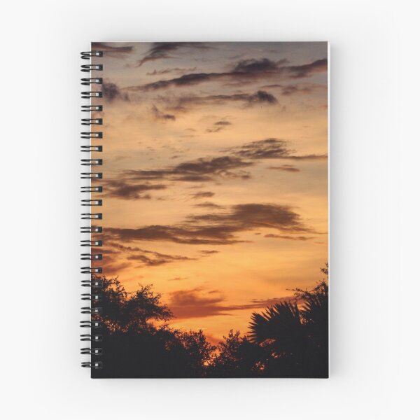 Item preview, Floridian Sunset designed and sold by spyderboy8.