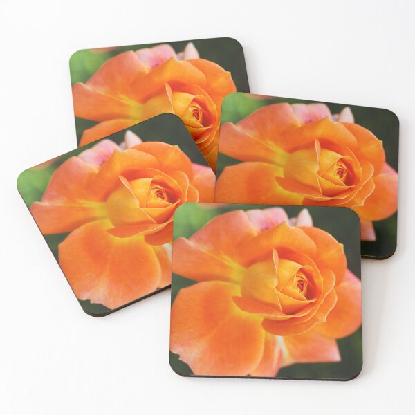 Item preview, Hot Sun Summer Orange Rose designed and sold by Joy Watson - Natural Light Photography .