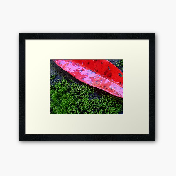 red tree Framed Art Print