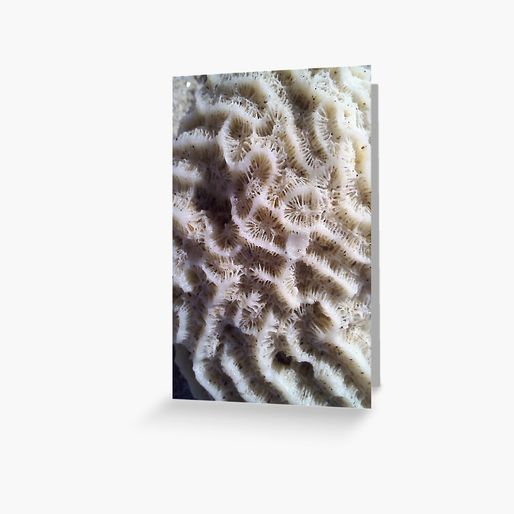 Coral Up Close Greeting Card