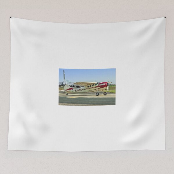 Item preview, Cessna 195 Businessliner G-BTBJ designed and sold by Colin Smedley.