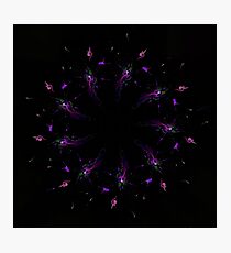 WDV - 775 - Waiting Winds Mandala Photographic Print