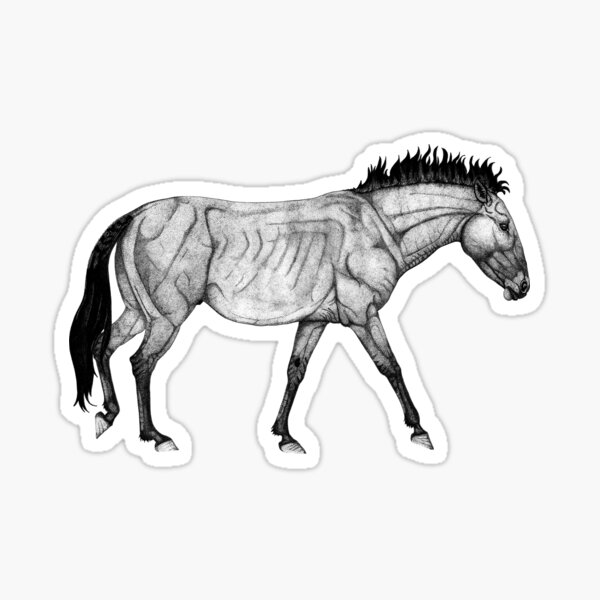 Aperçu de l'œuvre Takhi - Cheval sauvage mongol créée et vendue par Mercedes Yrayzoz.