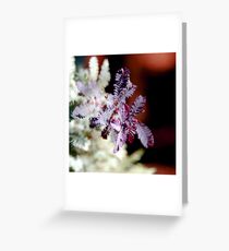 Purple Wattle Leaves Greeting Card