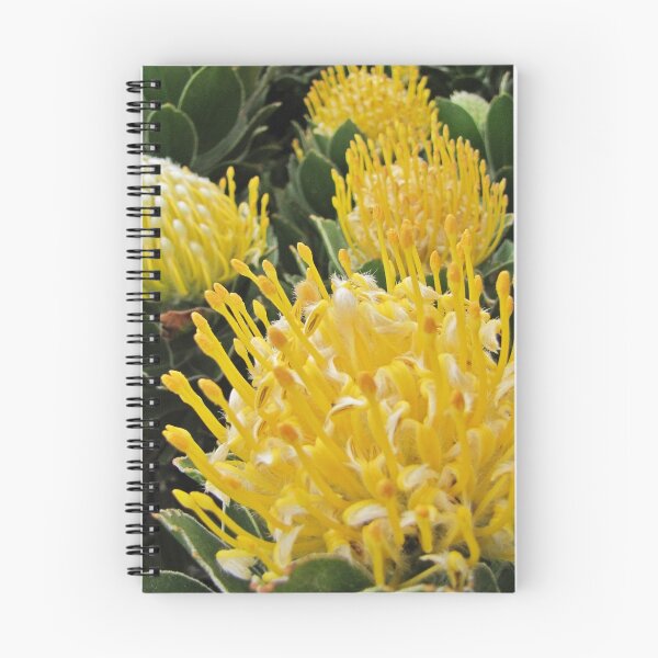 Item preview, Leucospermum conocarpodendron - Tote bag designed and sold by BiodiversityRocks.